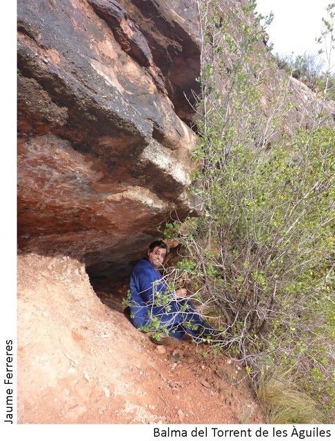 foto 1: Balma del Torrent de les àguiles