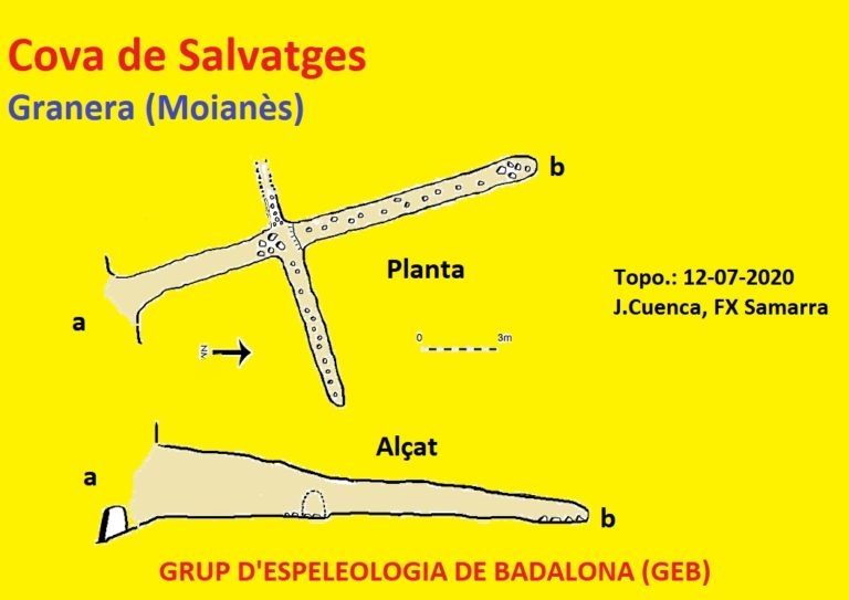 topo 0: Cova de Salvatges