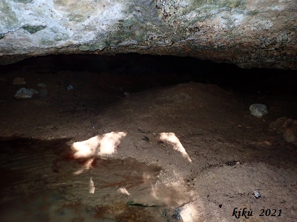 foto 3: Cova dels Foresos