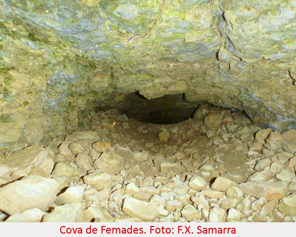 foto 3: Cova de les Femades