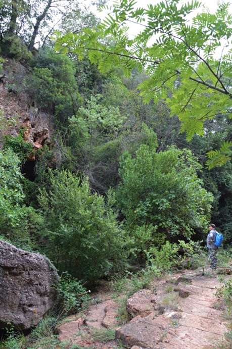 foto 0: Cova de Can Còdol