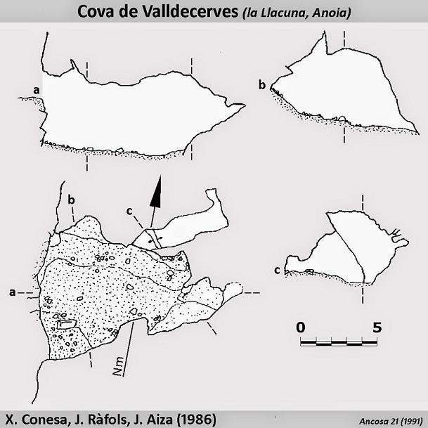 topo 1: Cova de Valldecerves