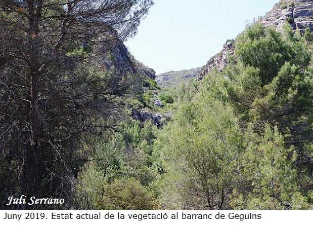 foto 14: Cova de Geguins