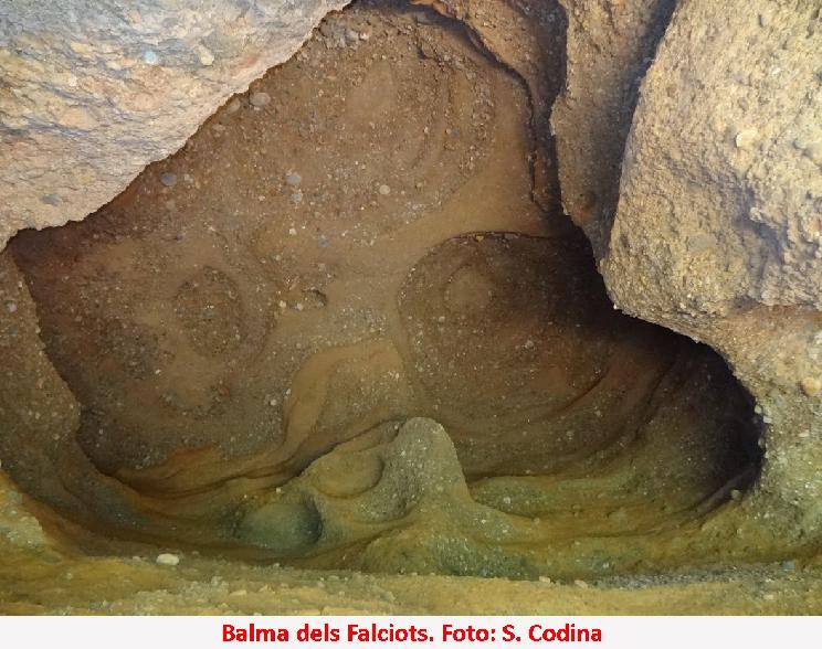 foto 4: Balma dels Falciots