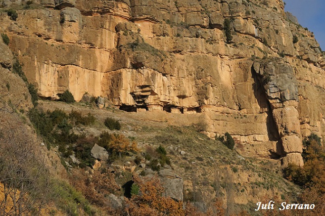 foto 1: Espluga Nº10 dels Corrals de Gurp