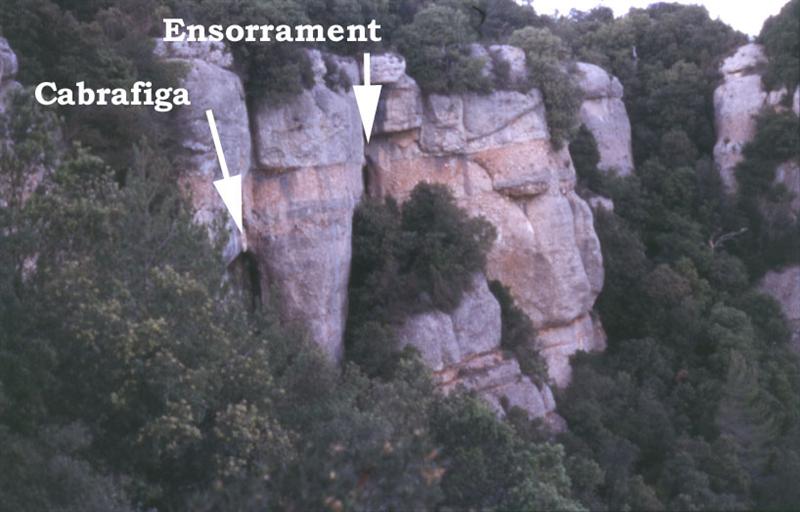 foto 0: Cova de l'Ensorrament