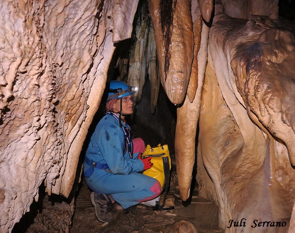 foto 5: Cova-avenc del Mas d'en Toni