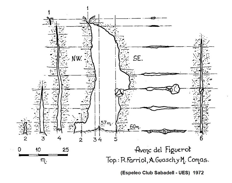 topo 1: Avenc del Figuerot