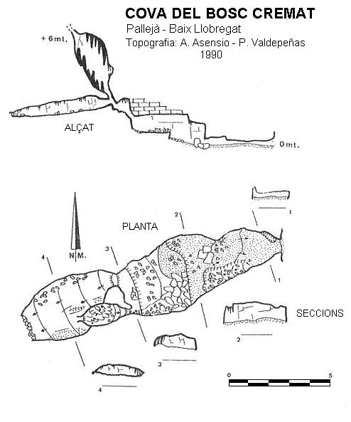 topo 0: Cova del Bosc Cremat