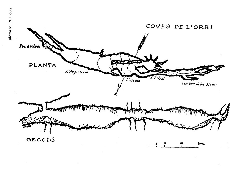 topo 1: Cova de l'Orri