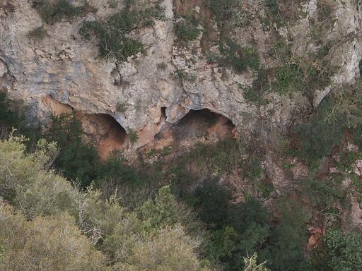 foto 1: Coves del Mu