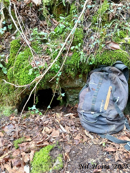 foto 0: Cova del  Meandre