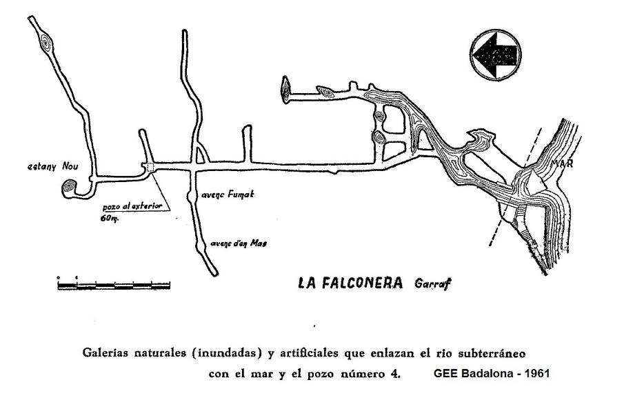 topo 4: la Falconera