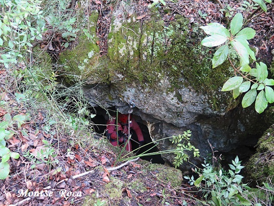 foto 4: Avenc de l'Arbre