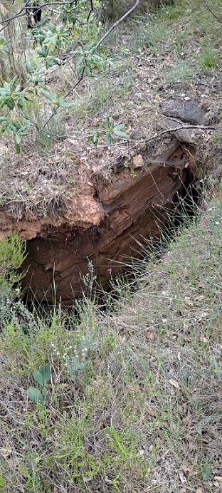 foto 0: Avenc de Sant Martí