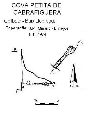 topo 0: Cova Petita de Cabrafiguera