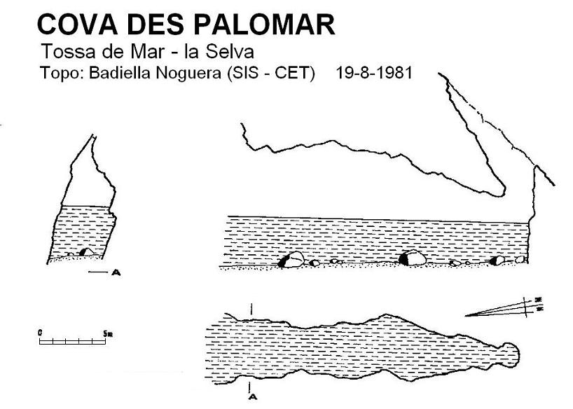 topo 0: Cova Des Palomar