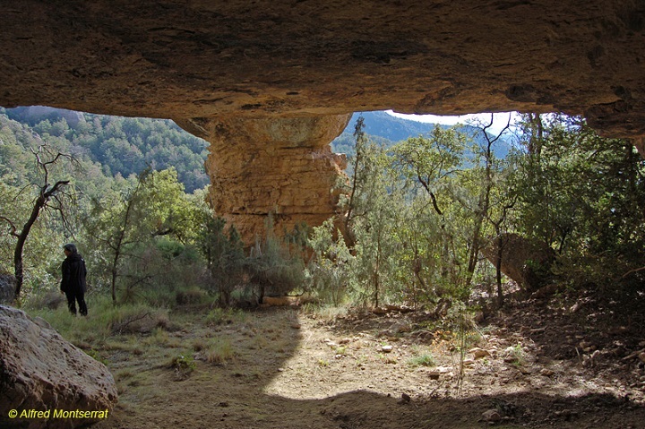 foto 4: Balma del Cigalot del Corb