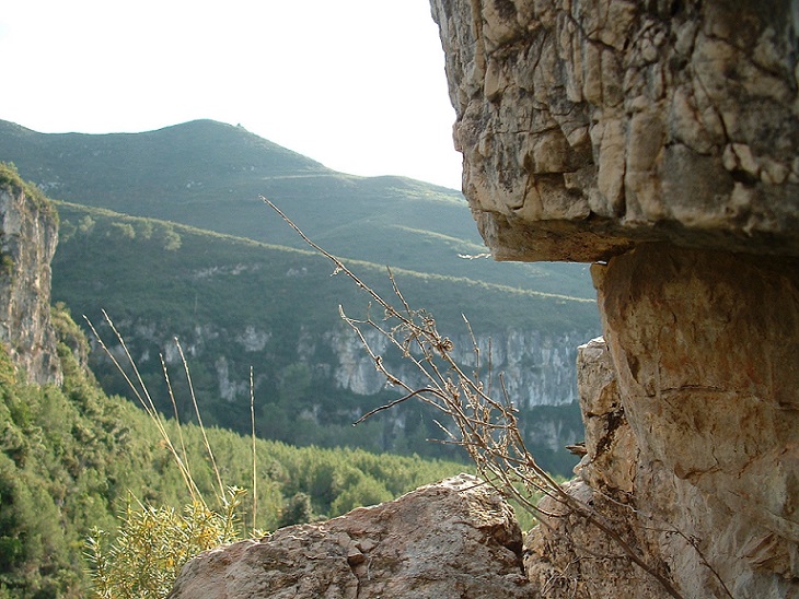 foto 0: Esquerda del Torrent de Sant Miquel