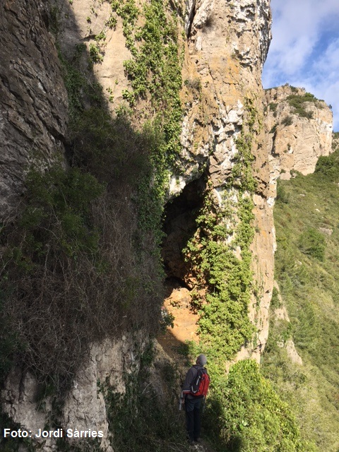 foto 0: Cova de les Agulles