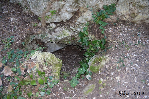 foto 3: Coveta de la Font de Sant Llorenç