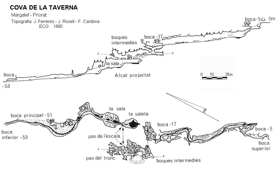 topo 0: Cova de la Taverna