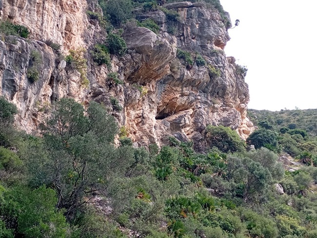 foto 0: Cova del Bon Descans