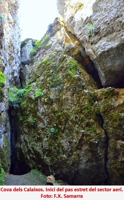 foto 5: Cova dels Calaixos de l'ereldo