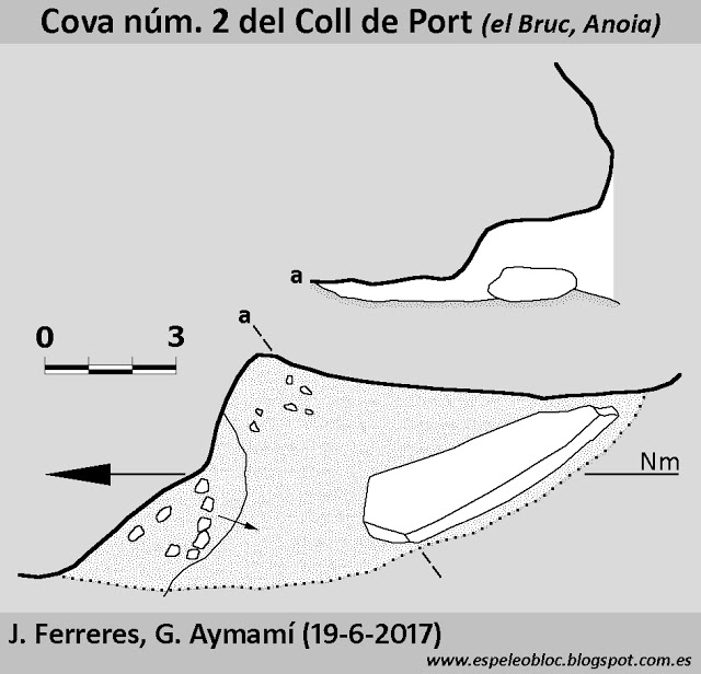 topo 0: Cova Nº2 de Coll de Port