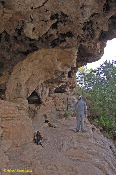 foto 1: Cova del Temple