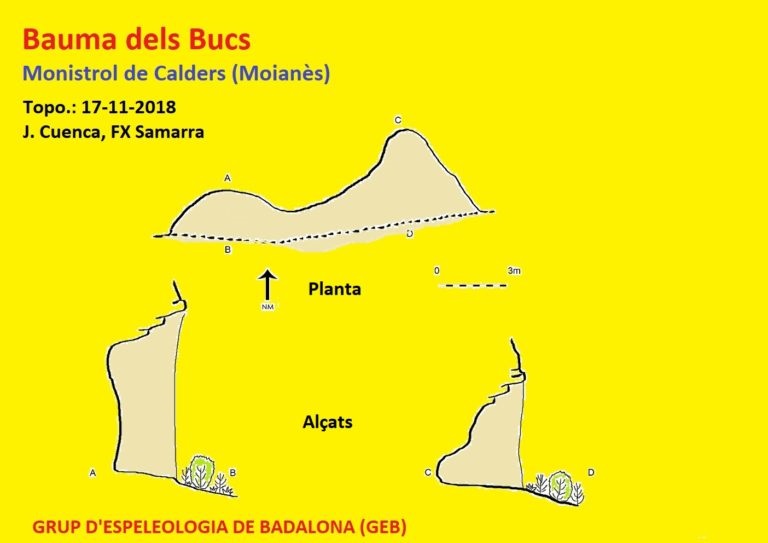 topo 0: Bauma dels Bucs