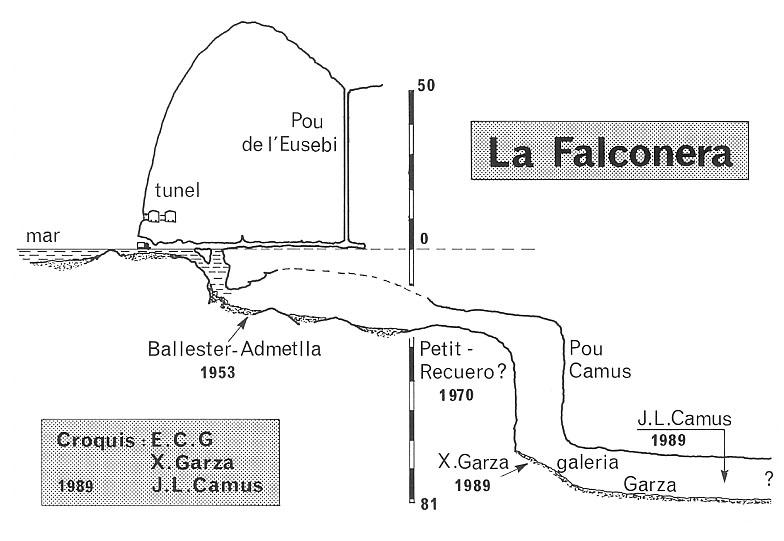 topo 0: la Falconera