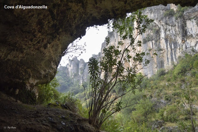 foto 2: Coves d'Aiguadonzella