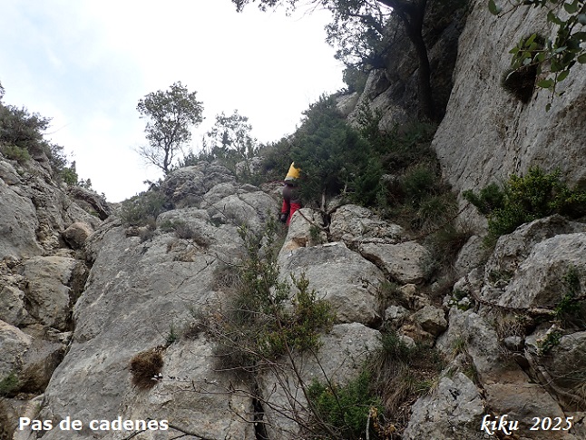 foto 0: Cova de Barranquilla