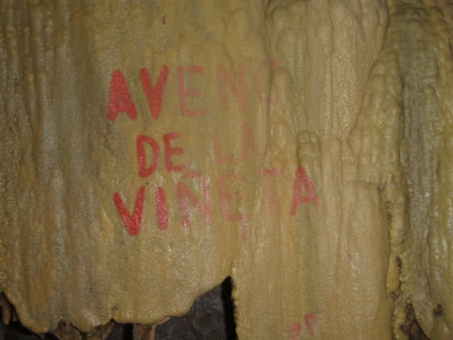 foto 4: Avenc de la Vinyeta