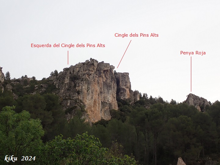 foto 0: Esquerda del Cingle dels Pins Alts