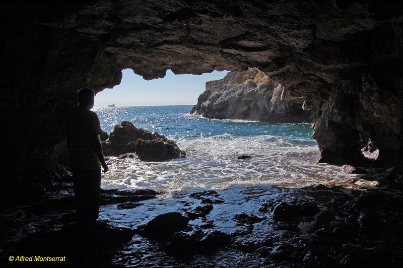 foto 2: Cova del Fortí de la Reina