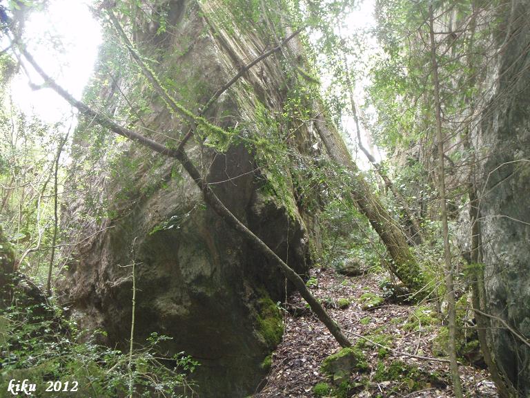 foto 2: Avencots dels Motllats de la Pona