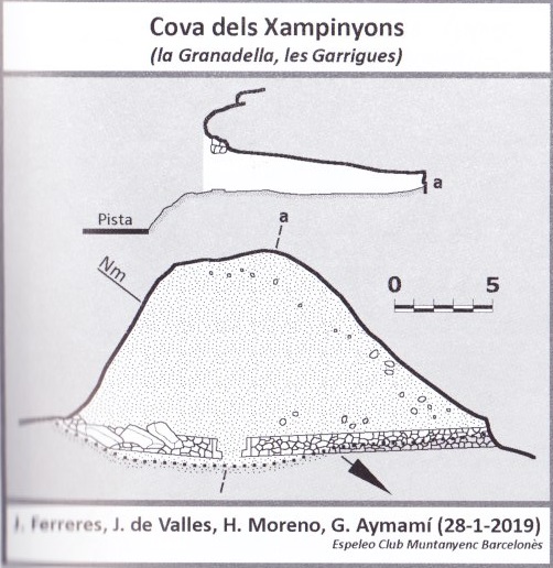 topo 0: Cova dels Xampinyons