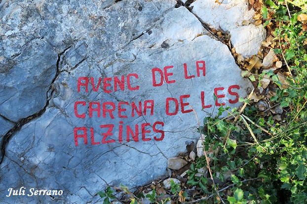 foto 5: Avenc de la Carena de les Alzines