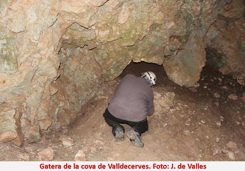 foto 1: Cova de Valldecerves