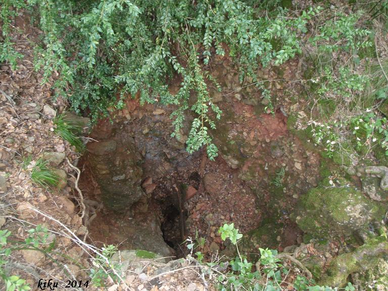 foto 2: la Font Falsa de Guanta