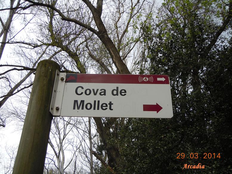 foto 0: Cova d'en Mollet