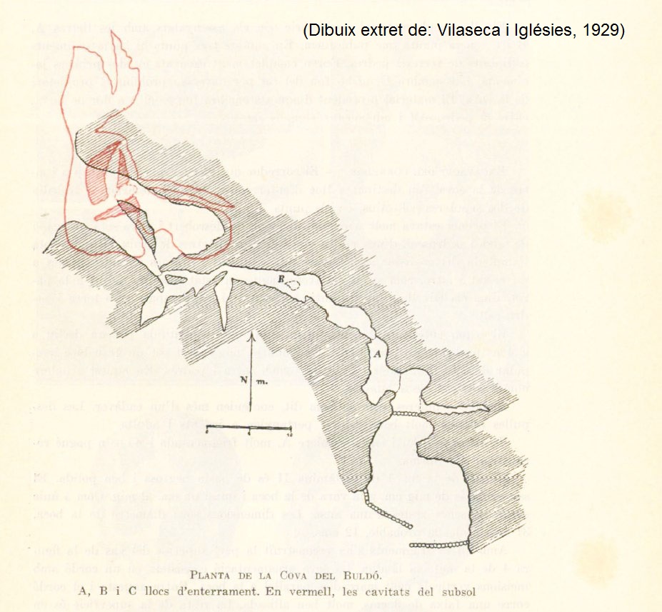 topo 1: Cova del Buldó