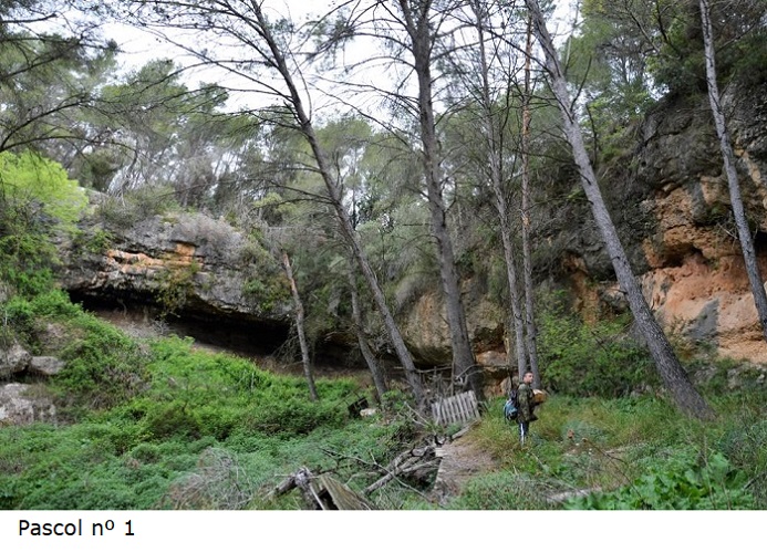 foto 0: Coves del Pascol