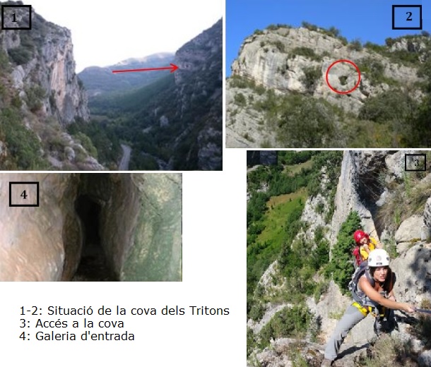 foto 0: Cova dels Tritons