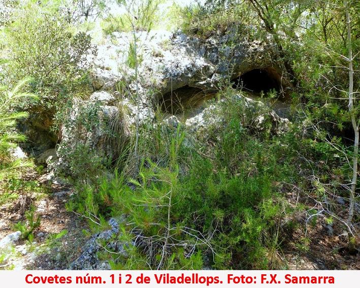 foto 0: Covetes de Viladellops