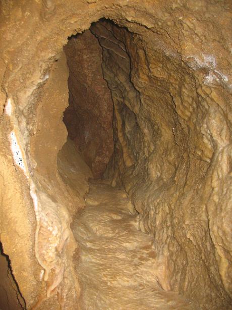 foto 3: Cova del Pollancre