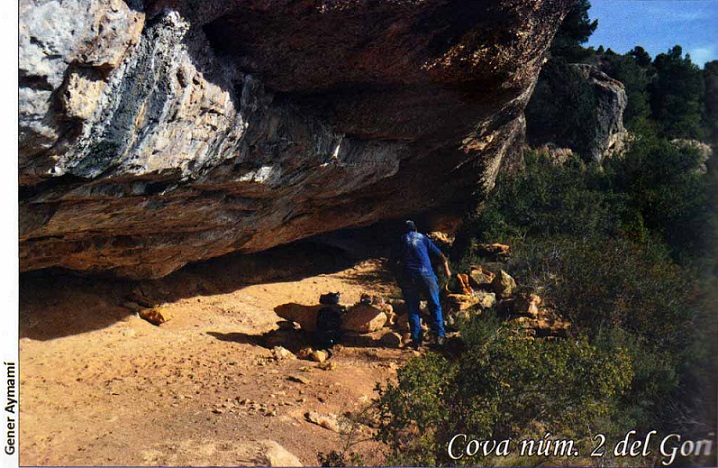 foto 0: Cova Nº2 del Gori