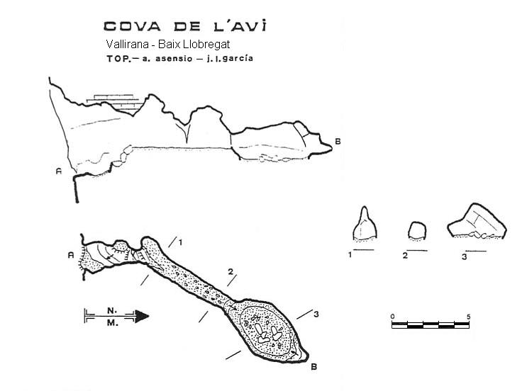 topo 0: Cova de l'Avi